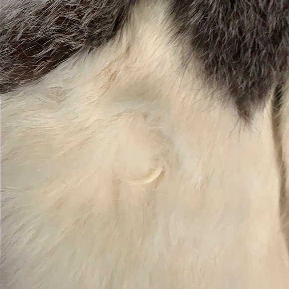 100% Authentic Rabbit fur coat!!RARE pattern!! - Picture 13 of 13